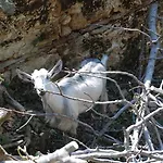公寓 Sotiros 1 Sotir